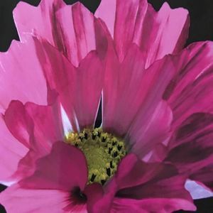 Meet your Posher, Jean